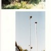 1996 RAVA DE VERHUIZING